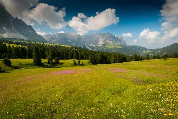 Dolomiterna — Stockfoto