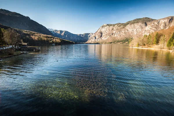 Jezioro Bohinjsko — Zdjęcie stockowe