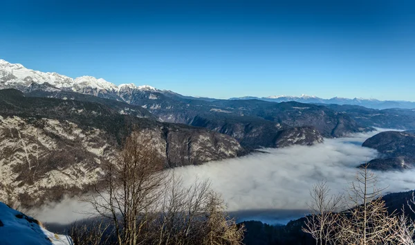 Jezioro Bohinjsko — Zdjęcie stockowe