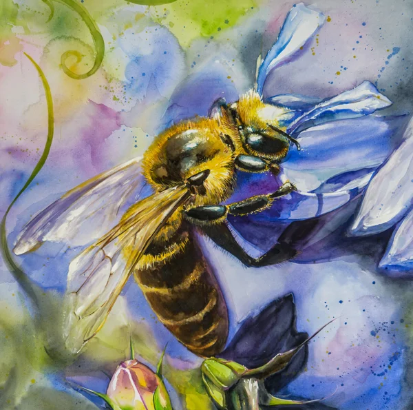 Lebah madu — Stok Foto