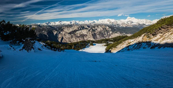 Stoków narciarskich w zimie — Zdjęcie stockowe