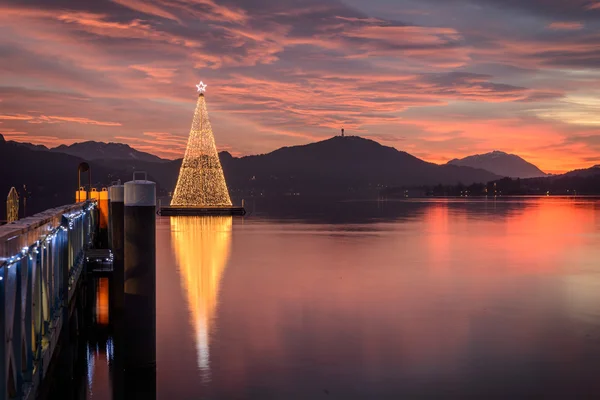 Boże Narodzenie drzewo nad jeziorem — Zdjęcie stockowe