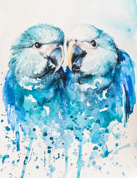 Acquerelli Spix macaw dipinti — Foto Stock