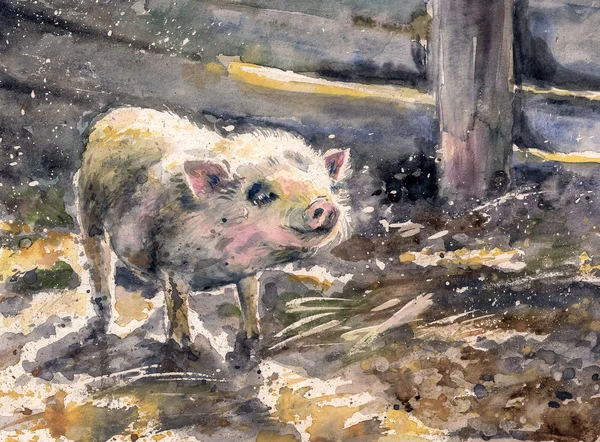 Schwein-Aquarelle gemalt — Stockfoto