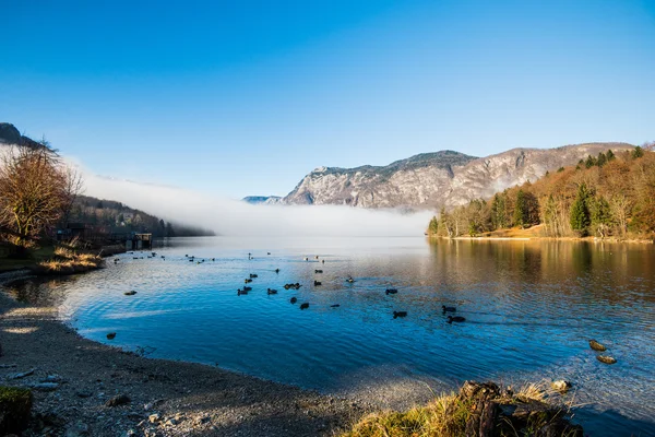 Bohinjské jezero, Slovinsko — Stock fotografie