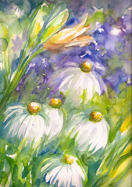 Flowers watercolors painted