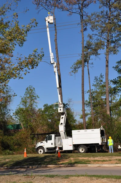 Fällung eines abgestorbenen Baumes lizenzfreie Stockfotos