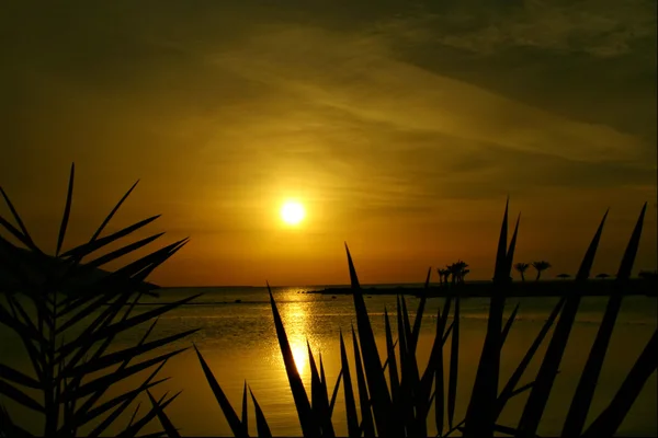 Mısır'daki Sunset