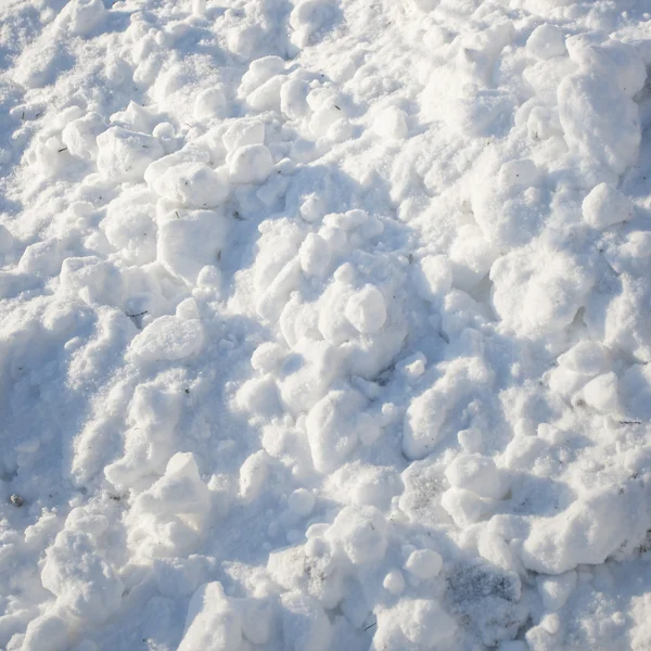 Snow — Stock Photo, Image