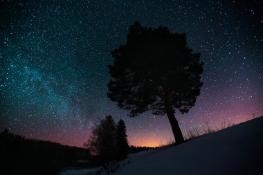 Yıldızlı gökyüzü ve kış orman