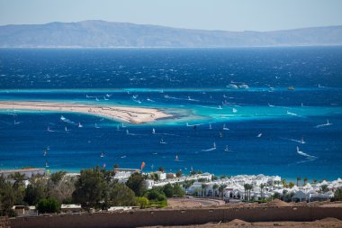 Lagoon full of windsurfers clipart