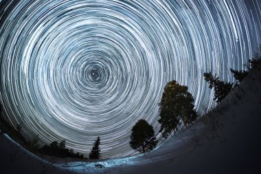 Star trails in a winter forest clipart