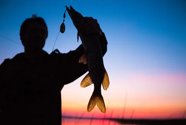 Silhouet van de visser met vis — Stockfoto