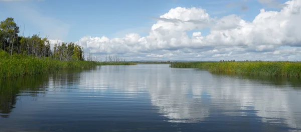 Summer lake with calm surface — Stock Photo, Image