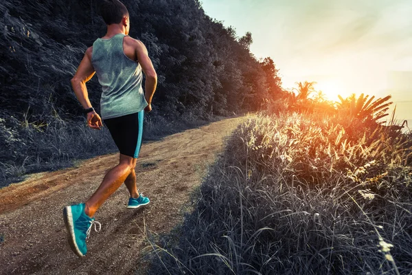 Corriendo en un bosque — Foto de Stock