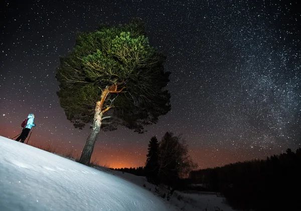 Skidåkning i skogen — Stockfoto