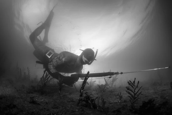 Spearfishing, underwater shot — Stock Photo, Image