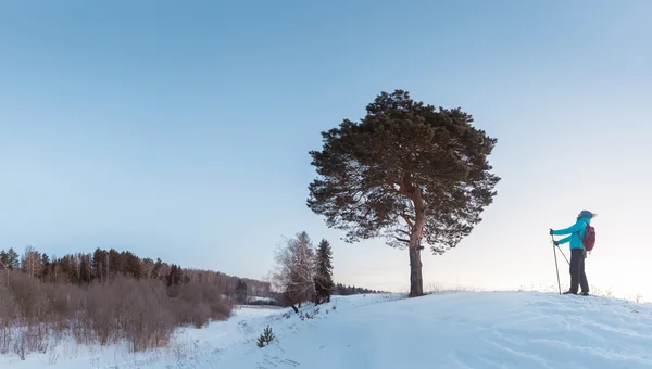 Sciare nella foresta — Foto Stock