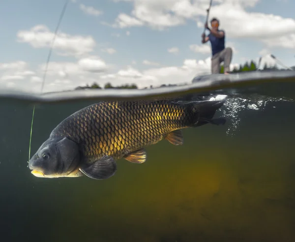 Hombre pescando en el lago — Foto de Stock