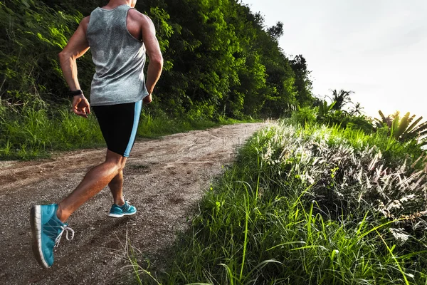 Correre in una foresta — Foto Stock