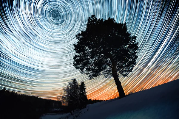 Star trails in a winter sky — Stock Photo, Image