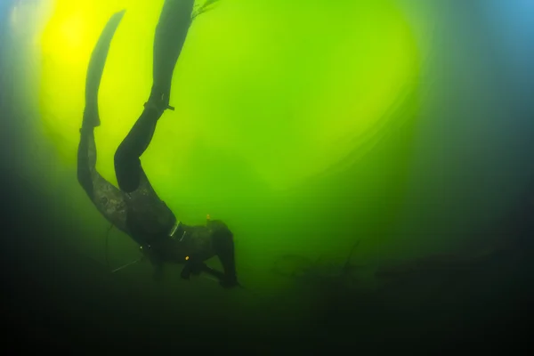 Hombre con speargun buceo —  Fotos de Stock