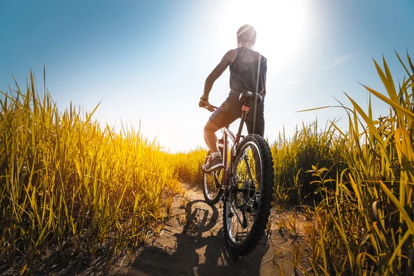 Junge Sportlerin steht mit Fahrrad — Stockfoto