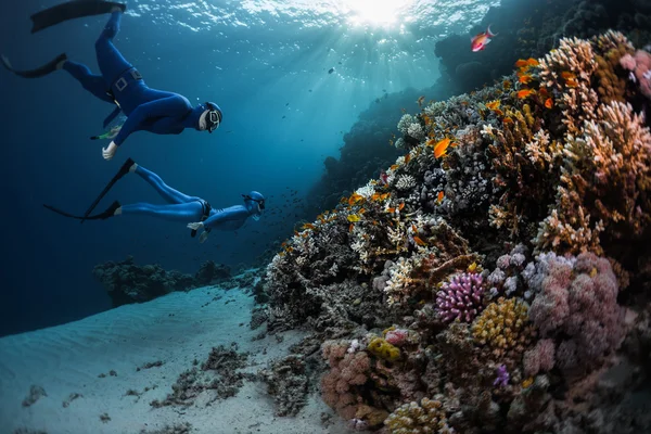 Twee freedivers onderwater zwemmen — Stockfoto