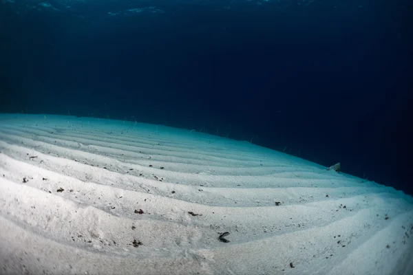 砂海の底 — ストック写真