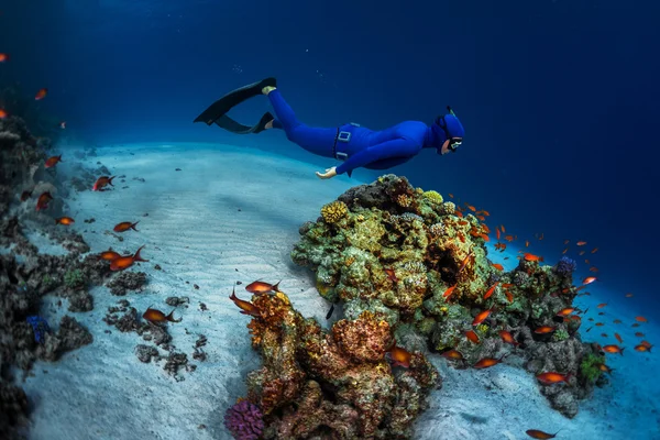 Free diver swimming underwater — Stock Photo, Image