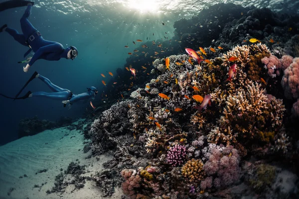 Two freedivers swimming underwater — Stock Photo, Image