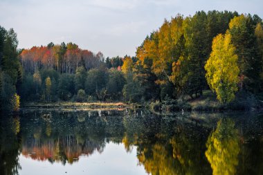 Sonbahar ağaçlar ve sakin göl