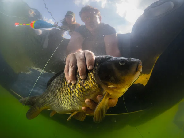 Uomo che tiene il pesce — Foto Stock