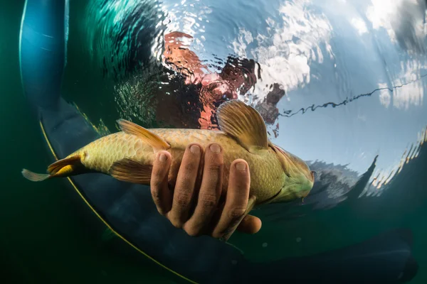 Homme attrapant le poisson — Photo