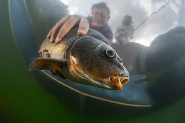 Uomo che tiene il pesce — Foto Stock