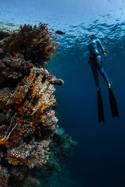 Bayan ücretsiz diver 