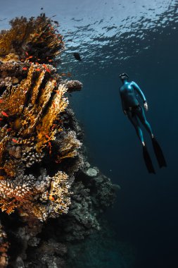 Ücretsiz diver mağarada kayma