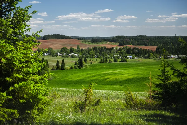 Green cultivated meadows — Stock Photo, Image