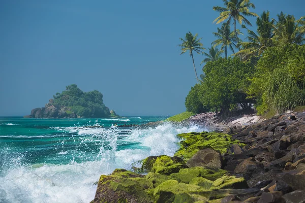 Tropical stone beach — Stock Photo, Image