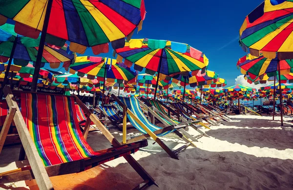 Kumlu bir plaj üzerinde parlak şemsiye