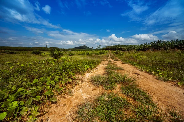 Drumul tropical rural — Fotografie, imagine de stoc