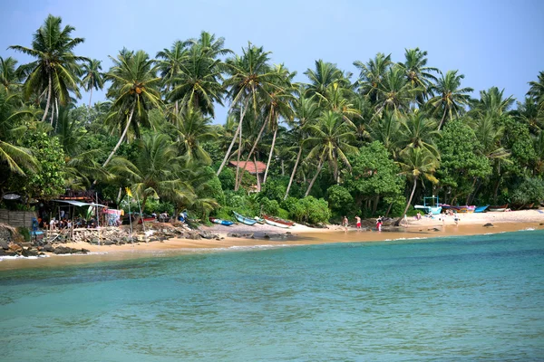 Strand met palmbomen — Stockfoto