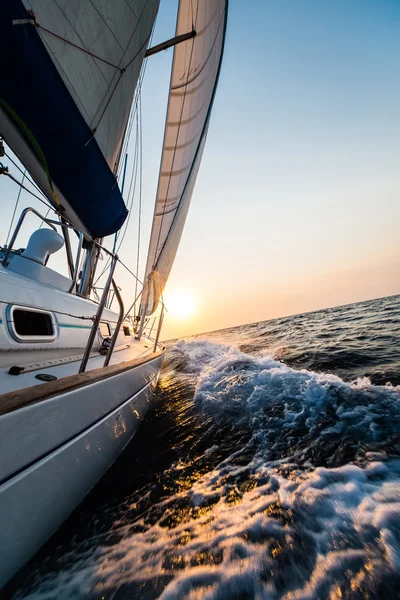 Sailing yacht in the sea — Stock Photo, Image