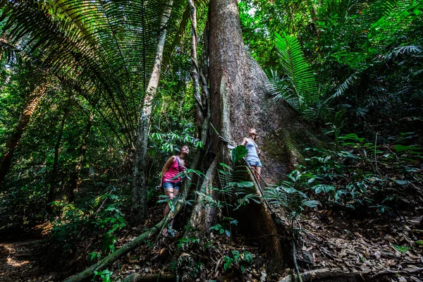 Dos mujeres y un árbol grande —  Fotos de Stock