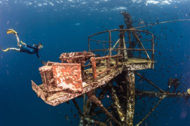 Free diver exploring the ship wreck clipart