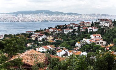 Nehir ile orman evleri