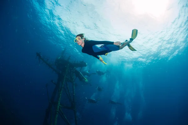 Gemi enkazı ile derinlik üzerinde ücretsiz diver — Stok fotoğraf