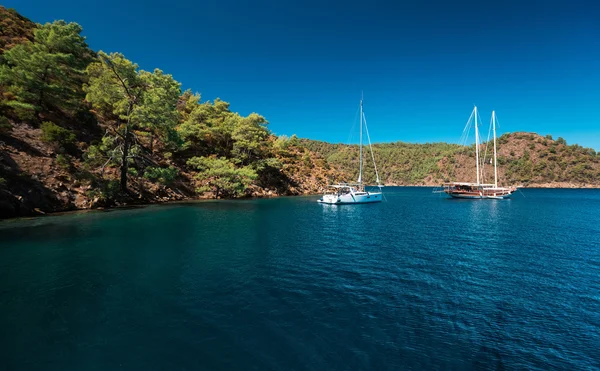 Körfezde yelken yatlar — Stok fotoğraf