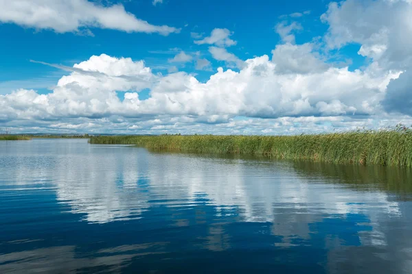 穏やかな表面と夏の湖 — ストック写真