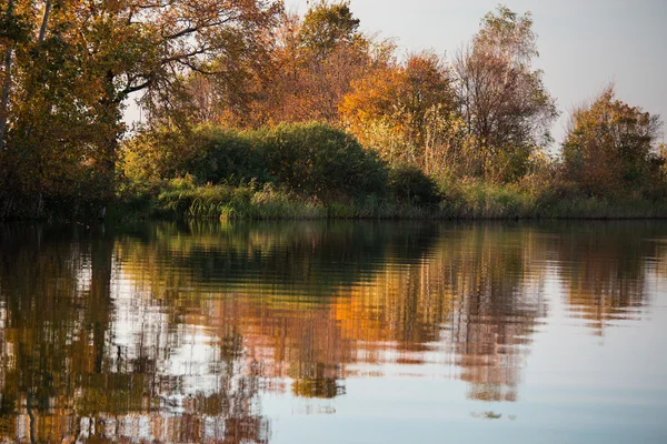 Autumn trees standing on the banks of the river — Stock Photo, Image